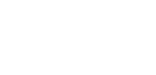 Trasporto Autoveicoli